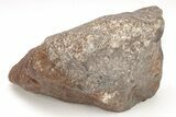 Chondrite Meteorite ( g) - Western Sahara Desert #208162-2